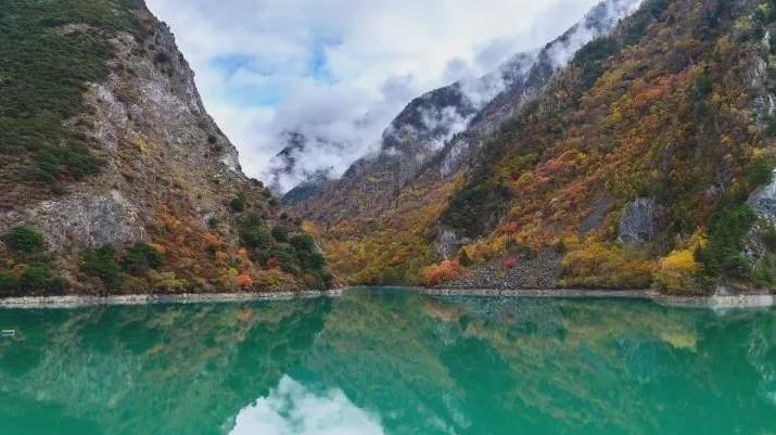 大学生五一小长假,你会选择读书还是旅行?-专业问答交流平台