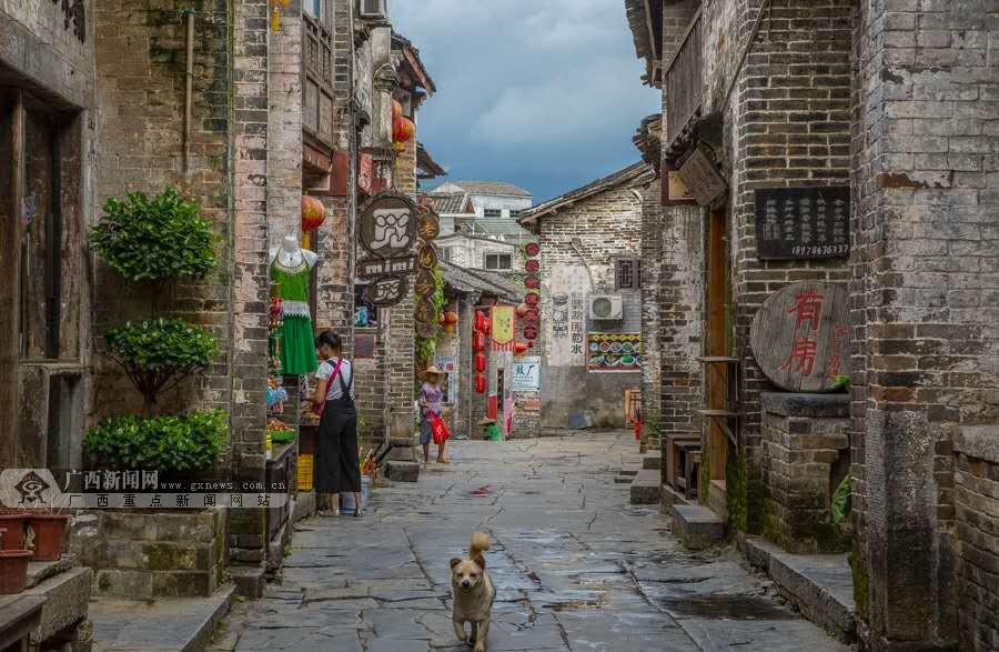 CUBA全国大赛,今年的夺冠热门是哪几所学校?—专业的讨论社区平台